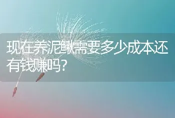 现在养泥鳅需要多少成本还有钱赚吗？