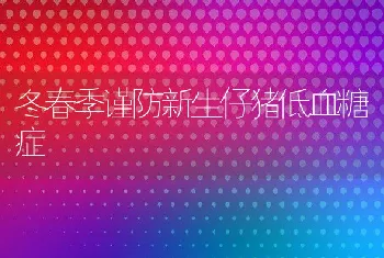 冬春季谨防新生仔猪低血糖症