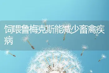 抗应激添加剂在畜禽生产上的应用