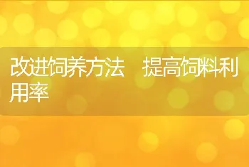 改进饲养方法提高饲料利用率