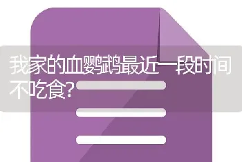 我家的血鹦鹉最近一段时间不吃食？