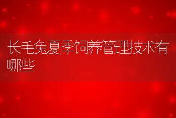 长毛兔夏季饲养管理技术有哪些