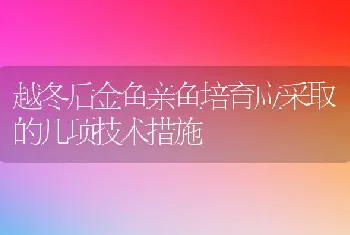 越冬后金鱼亲鱼培育应采取的几项技术措施