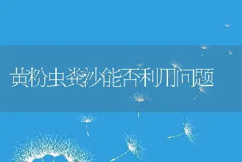 黄粉虫粪沙能否利用问题