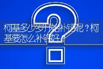 柯基多少岁开始补钙呢？柯基要怎么补钙好？