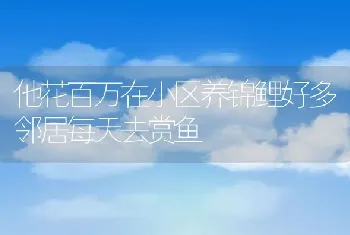 株洲小伙养羊驼 神兽当一天模特可赚3500元