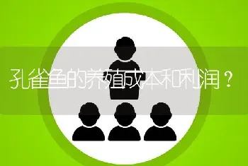 孔雀鱼的养殖成本和利润？