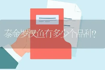 泰金罗汉鱼有多少个品种？