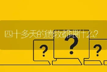 四十多天的德牧都喂什么？