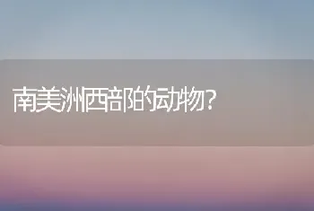 南美洲西部的动物？