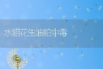 水貂花生油粕中毒