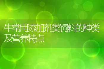 牛常用添加剂类饲料的种类及营养特点