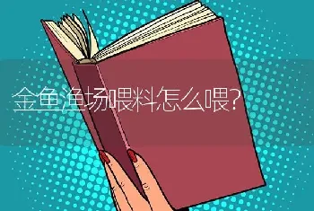 金鱼渔场喂料怎么喂？