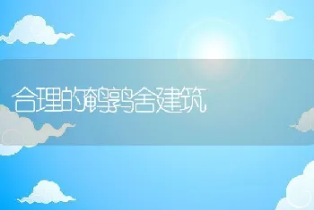 合理的鹌鹑舍建筑