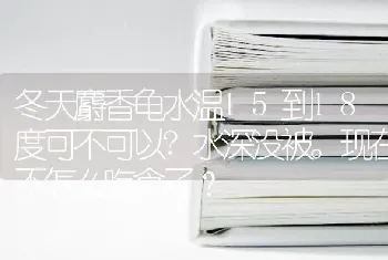 冬天麝香龟水温15到18度可不可以?水深没被。现在不怎么吃食了？