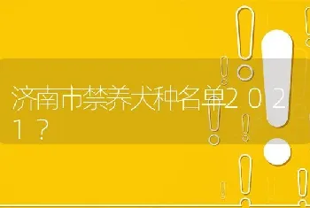 济南市禁养犬种名单2021？