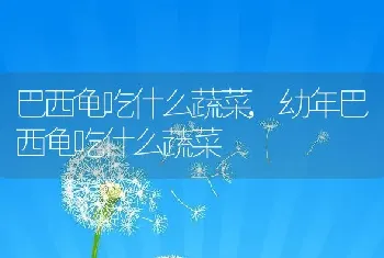 热带鱼品种大全图，热带鱼品种大全图片及名称