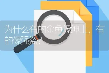 为什么有的金鱼像绅士，有的像强盗？