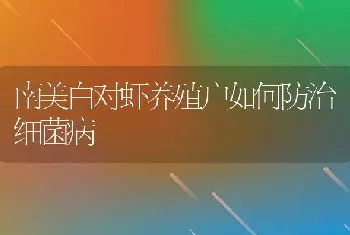 南美白对虾养殖户如何防治细菌病