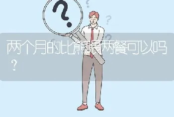 两个月的比熊喂两餐可以吗？