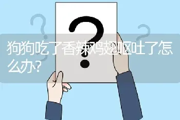 狗狗吃了香辣鸡翅呕吐了怎么办？