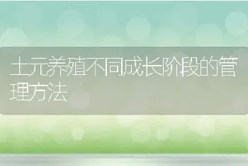 土元养殖不同成长阶段的管理方法