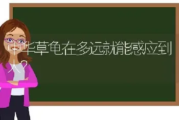 狗乱叫扰民怎么解决？