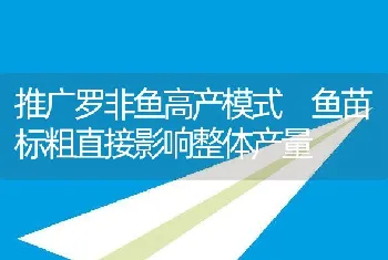 推广罗非鱼高产模式鱼苗标粗直接影响整体产量