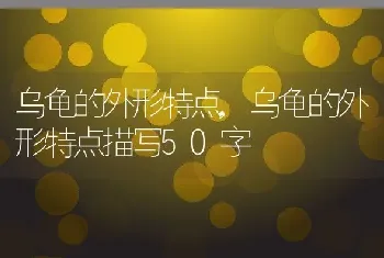 乌龟的外形特点，乌龟的外形特点描写50字