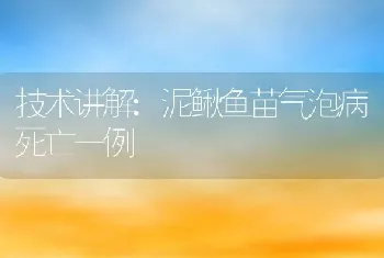 技术讲解:泥鳅鱼苗气泡病死亡一例