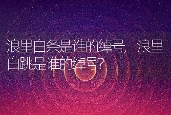 浪里白条是谁的绰号，浪里白跳是谁的绰号？