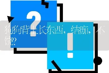 狗狗背上长东西，结痂，不饶？