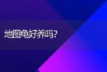 地图龟好养吗？