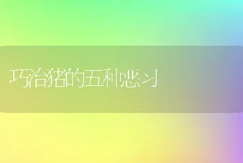 巧治猪的五种恶习