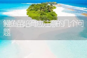 鳗鱼苗培育应注意的几个问题