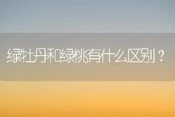 绿牡丹和绿桃有什么区别？