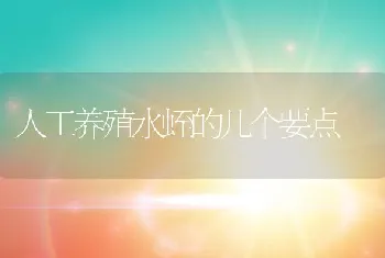 人工养殖水蛭的几个要点