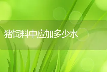 猪饲料中应加多少水