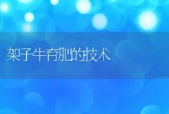 畜禽饲料不可缺锌