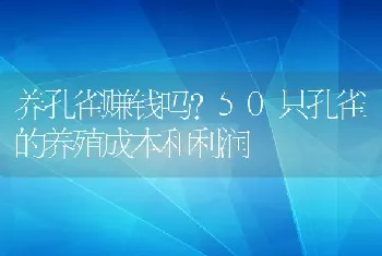 养孔雀赚钱吗？50只孔雀的养殖成本和利润