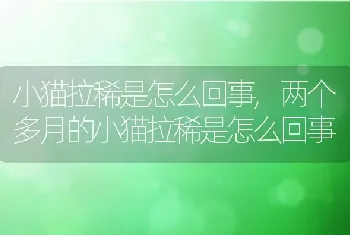 小猫拉稀是怎么回事，两个多月的小猫拉稀是怎么回事