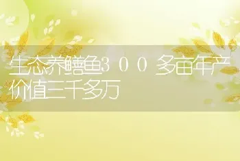 生态养鳝鱼300多亩年产价值三千多万