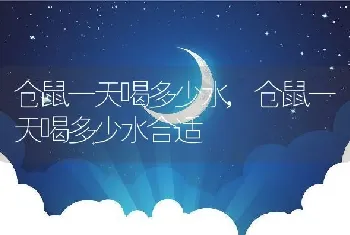 仓鼠一天喝多少水，仓鼠一天喝多少水合适