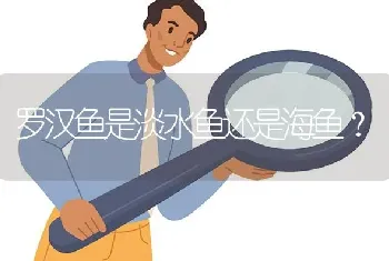 罗汉鱼是淡水鱼还是海鱼？