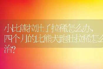 小比熊拉肚子拉稀怎么办，四个月的比熊犬跑肚拉稀怎么治？