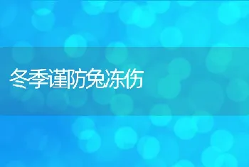 冬季谨防兔冻伤