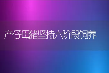 产仔母猪坚持六阶段饲养