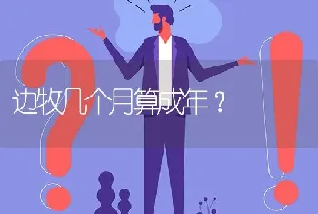 边牧几个月算成年？