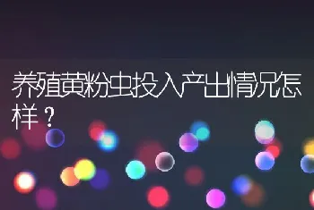 养殖黄粉虫投入产出情况怎样？