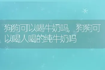 狗狗可以喝牛奶吗，狗狗可以喝人喝的纯牛奶吗